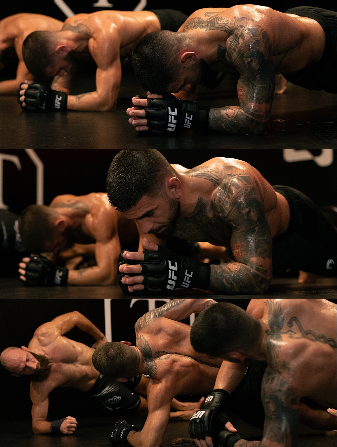 Nueva Modelo Superfans - ¡Bienvenid@ a mi Portfolio!